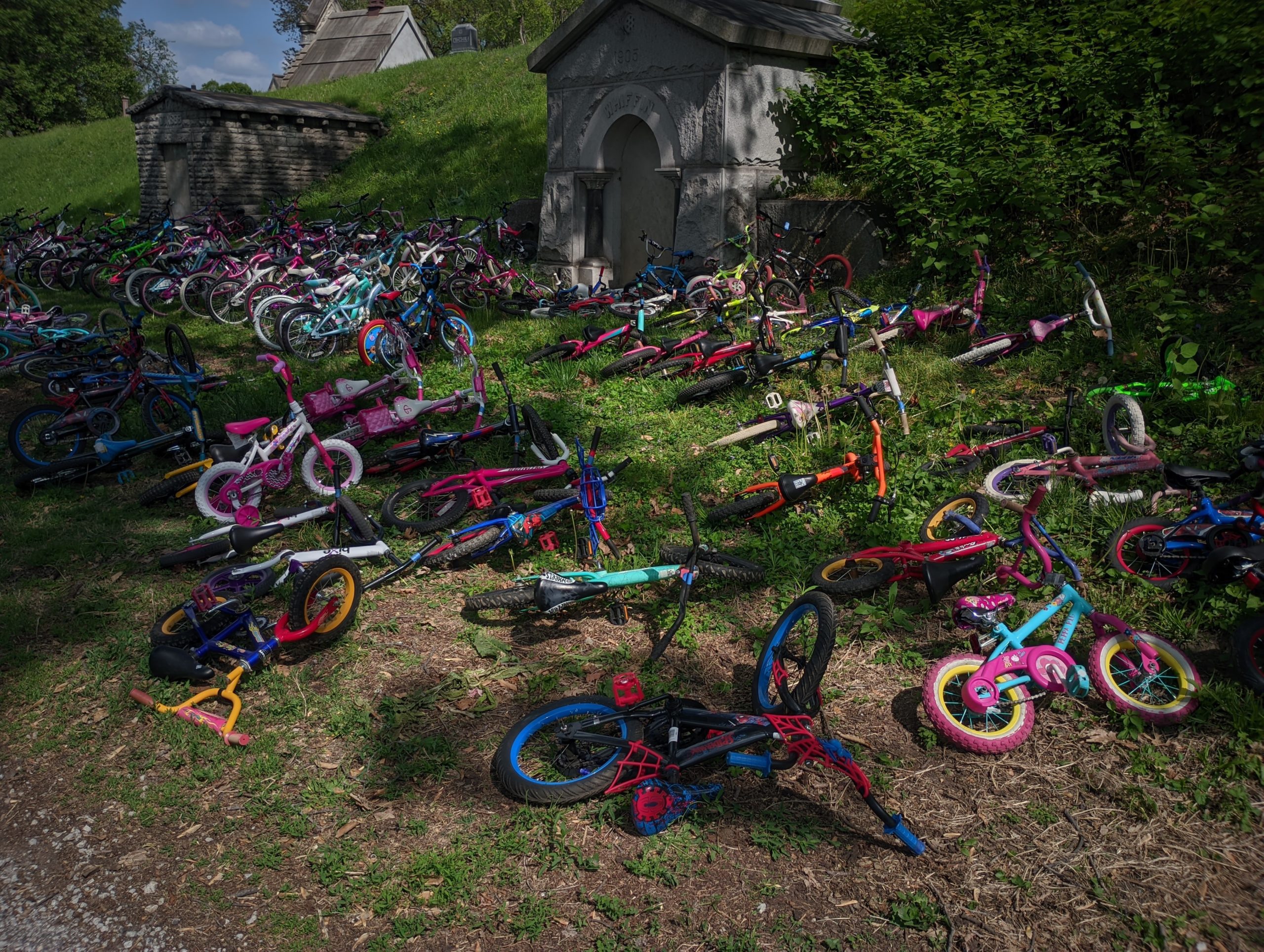 Featured image for “Inaugural Elmwood Bike Rodeo a Resounding Success!”